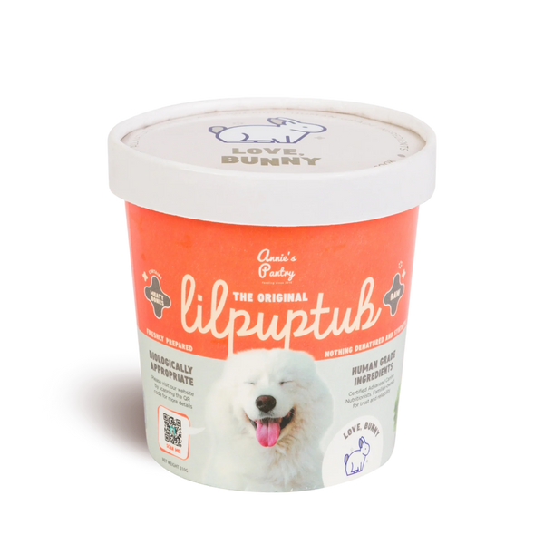 The Original <br> LilPuptub