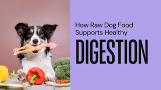 How raw food supports healthy digestion