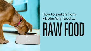 How to switch from kibbles/dry food to raw food